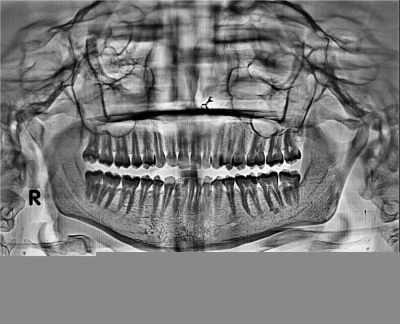 Shree Kids & Family Dental Clinic - Shree Kids & Family Dental Clinic