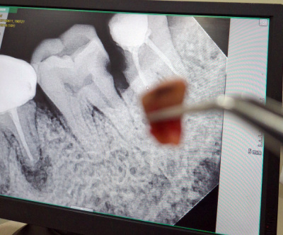 Shree Kids & Family Dental Clinic - Shree Kids & Family Dental Clinic