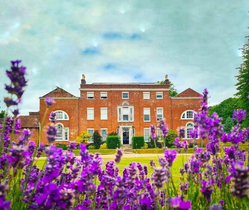 الجلد الأخت - Skin Sister