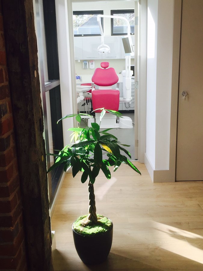 Sorriso Dentistry - Sorriso Dentistry