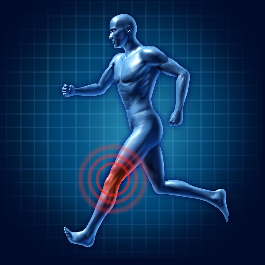 SPORTS CLINICAL - SPORTS CLINICAL