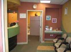 StarBrite Dental- Dr. Munira Lokhandwala - StarBrite Dental- Dr. Munira Lokhandwala