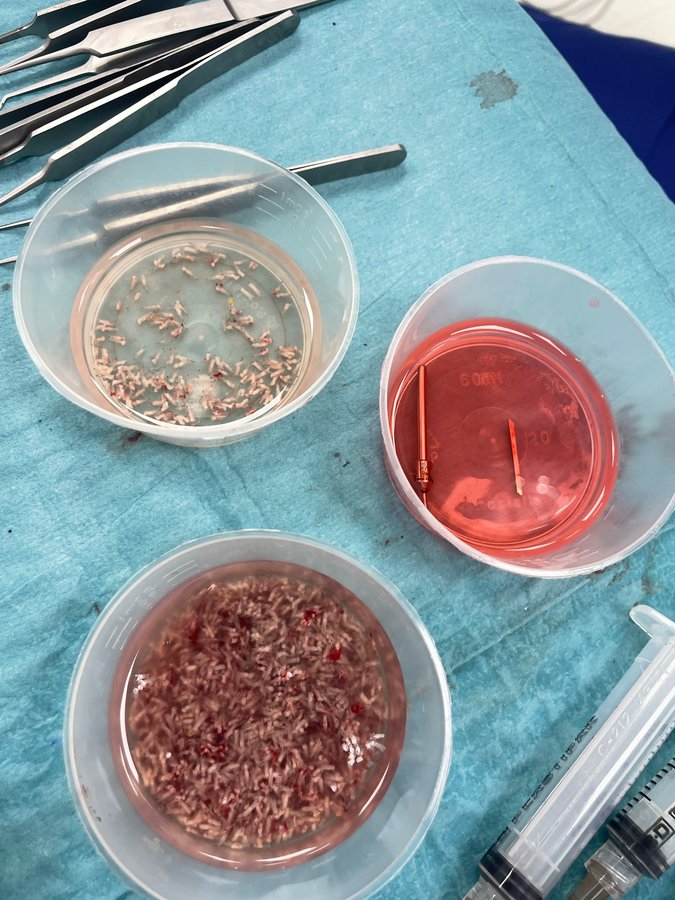 Surgery Group Ltd Nottingham - Surgery Group Ltd Nottingham