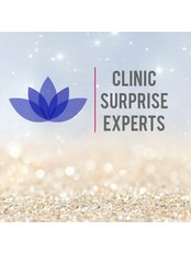 Surprise Experts - Surprise Experts