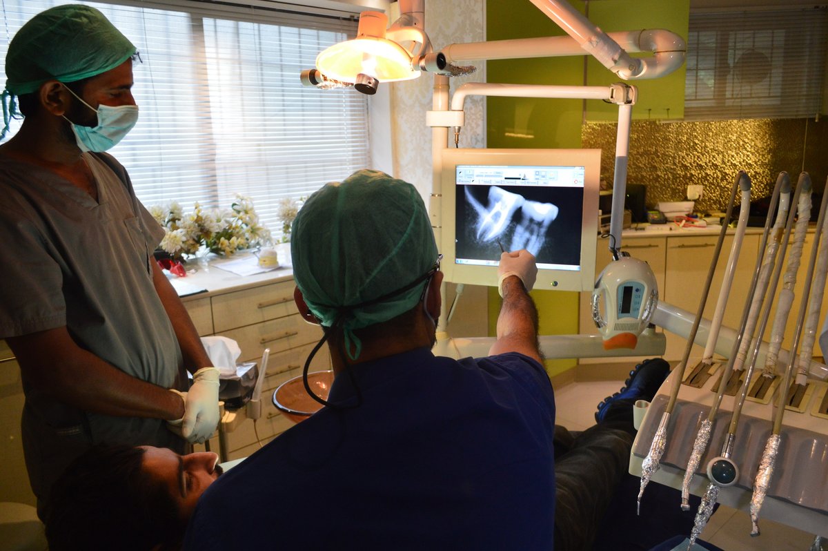 Teeth and Gums - Teeth and Gums