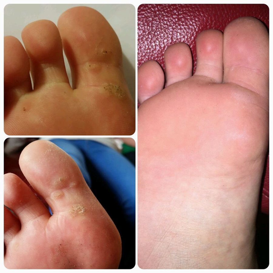 The Beauty- Guru - The Beauty- Guru