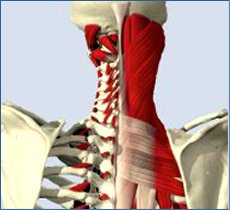 The Chartered Physiotherapy Clinic Llangollen - The Chartered Physiotherapy Clinic Llangollen