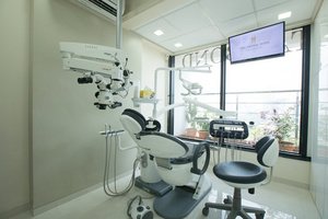 The Dental Bond - The Dental Bond