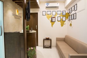 The Dental Bond - The Dental Bond