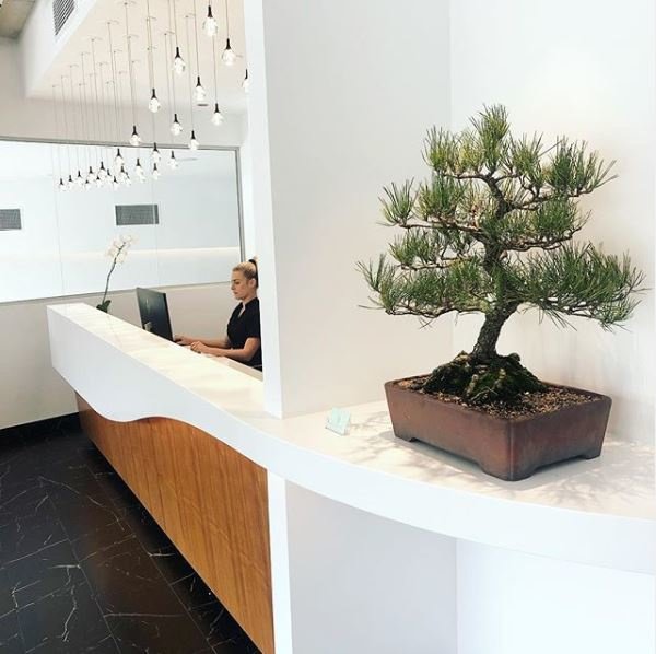 The Dental Boutique - The Dental Boutique