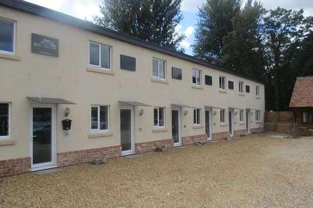 The Nurse Clinic Ltd - The Nurse Clinic Ltd