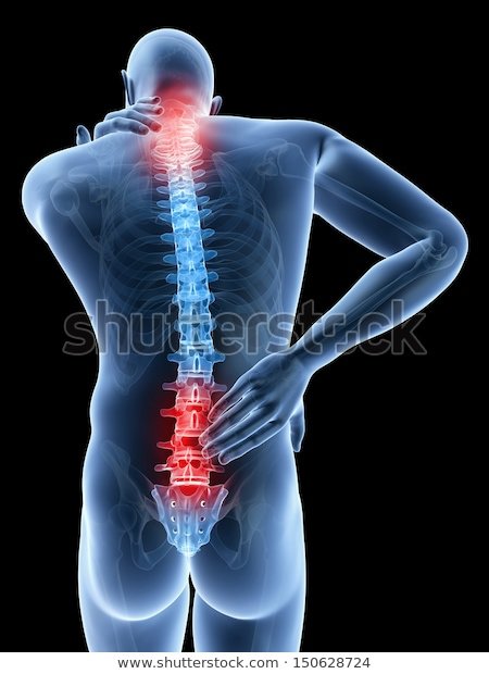 The Physiotherapy Clinics - Murrayfield - The Physiotherapy Clinics - Murrayfield