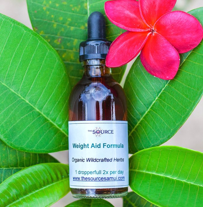 The Source Herbal Detox Retreat Koh Samui Thailand - The Source Herbal Detox Retreat Koh Samui Thailand