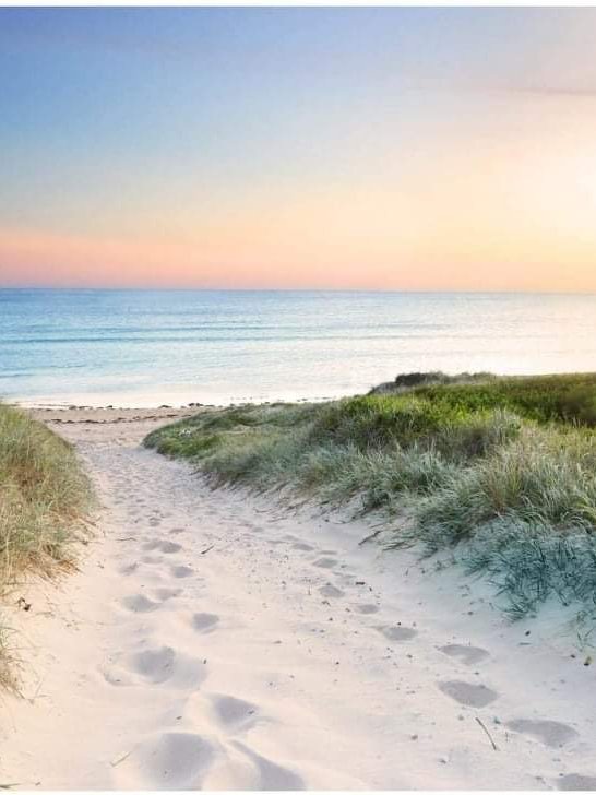 The Therapy Room - The Therapy Room