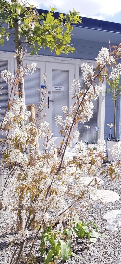 The Therapy Room - The Therapy Room