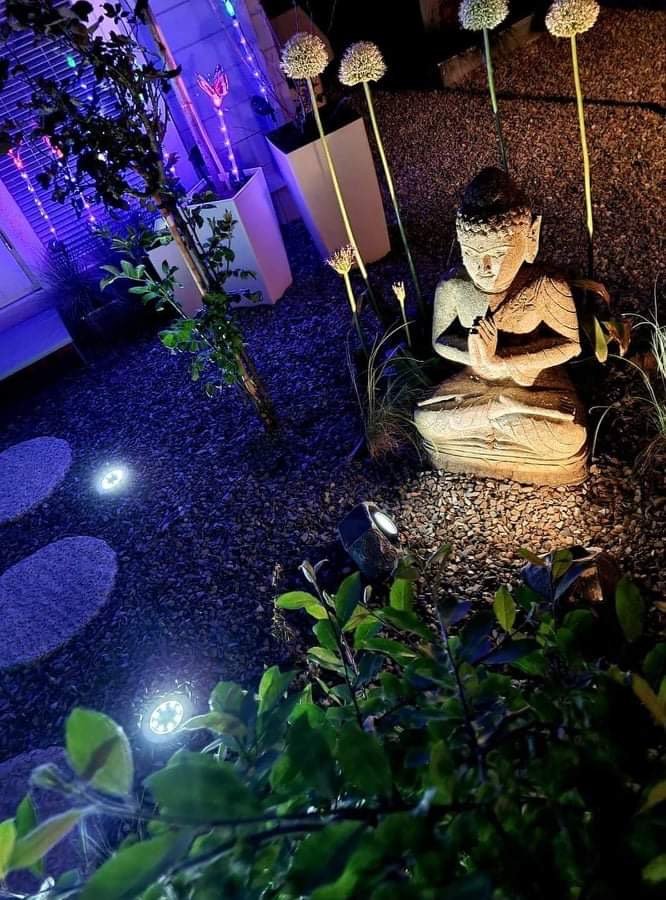 The Therapy Room - The Therapy Room