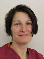 THE TUDDENHAM ROAD DENTAL SURGERY - THE TUDDENHAM ROAD DENTAL SURGERY