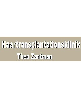 Theo Zantman - Theo Zantman