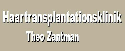 Theo Zantman - Theo Zantman