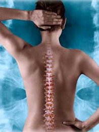 العلاج 4 ظهورهم - Therapy 4 Backs