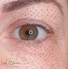 Theresa Wild Permanent Cosmetics - Theresa Wild Permanent Cosmetics