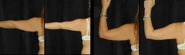 T.Y. Steven Ip, M.D., F.A.C.S. - T.Y. Steven Ip, M.D., F.A.C.S.