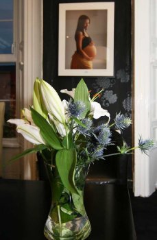 Ultrasound Dimensions - Ultrasound Dimensions