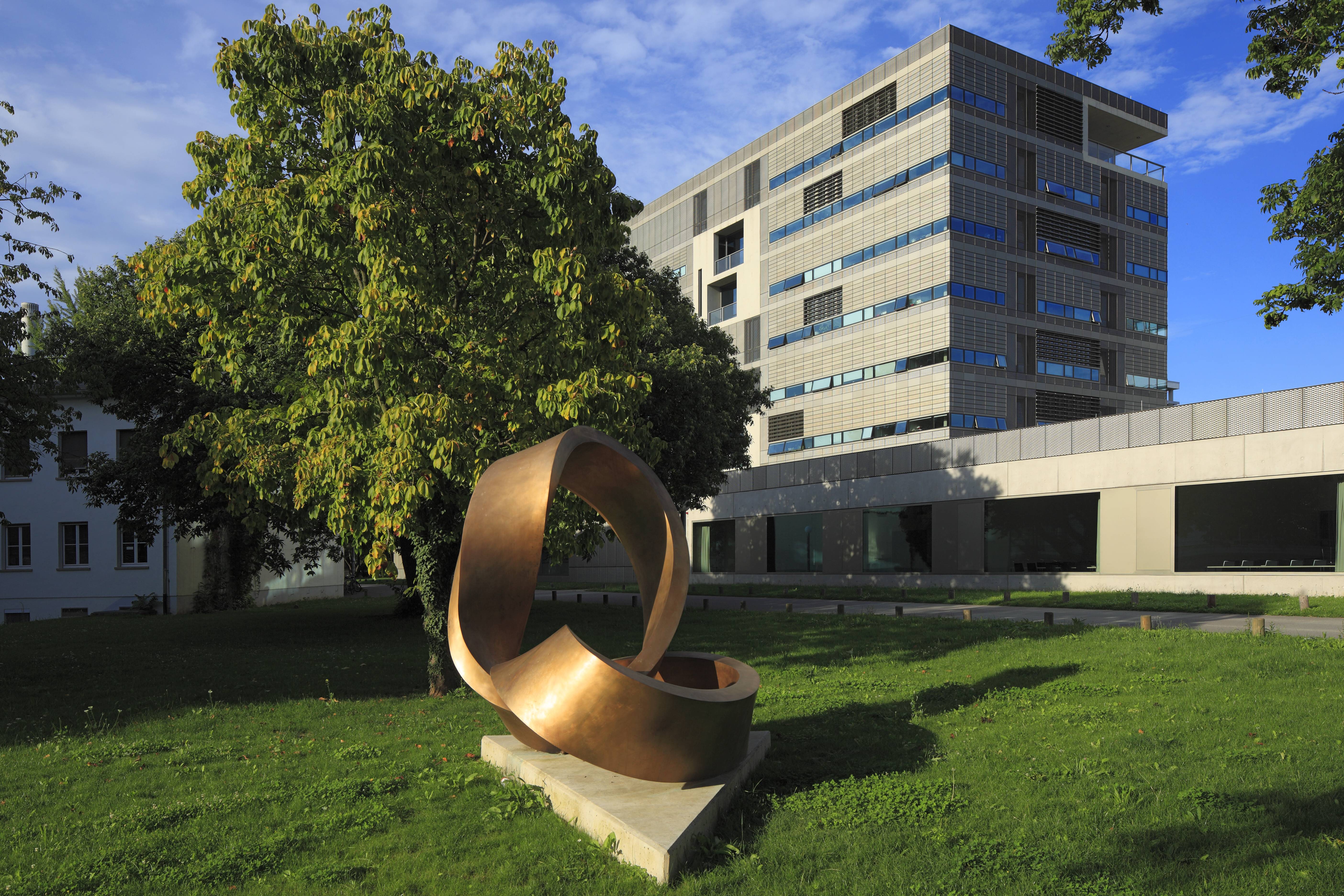 مستشفى جامعة هايدلبرغ - University Hospital Heidelberg