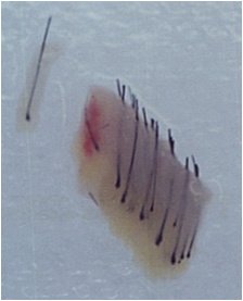 Uranga Hair Center - Uranga Hair Center