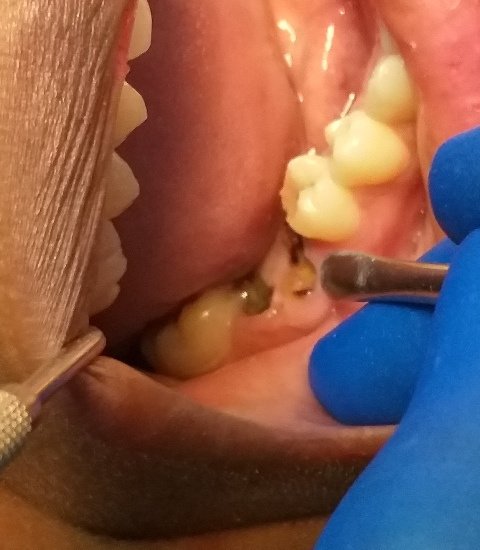 U-Smile Family Dental Practice - U-Smile Family Dental Practice