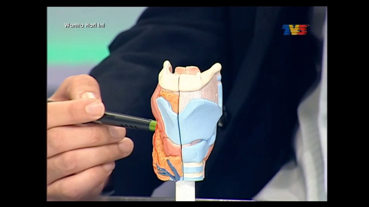 Vincent ENT, Thyroid, Head & Neck Surgery Specialist Clinic - Vincent ENT, Thyroid, Head & Neck Surgery Specialist Clinic