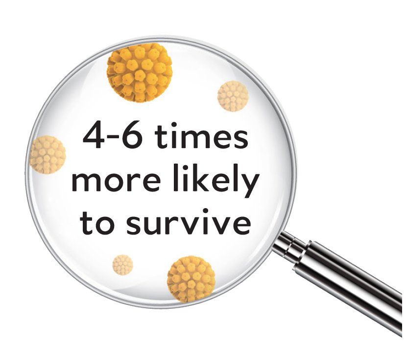 Virotherapy consultations - Virotherapy consultations