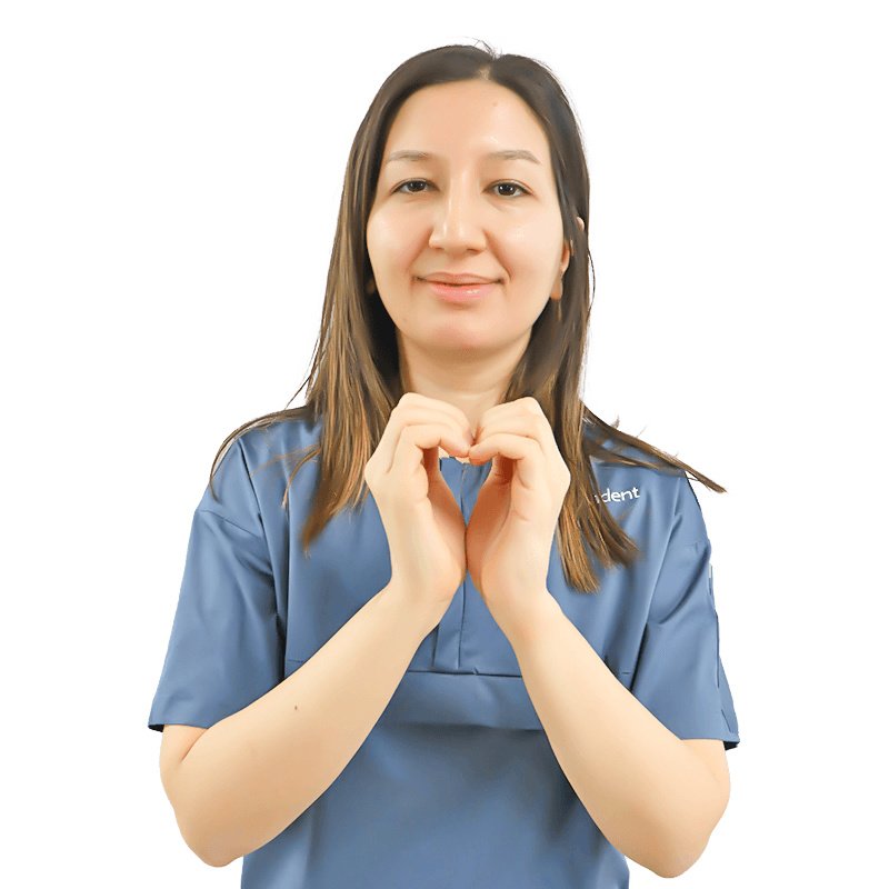 Vividenta - Vividenta