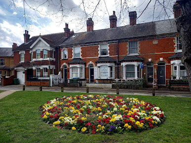 Natural Therapies - Natural Therapies